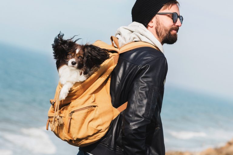 Viajar con tu mascota – mochilas de transporte