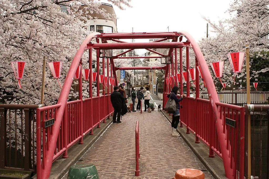 El Puente Rojo del Río Meguro en Japón